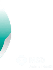 MSD Animal Health